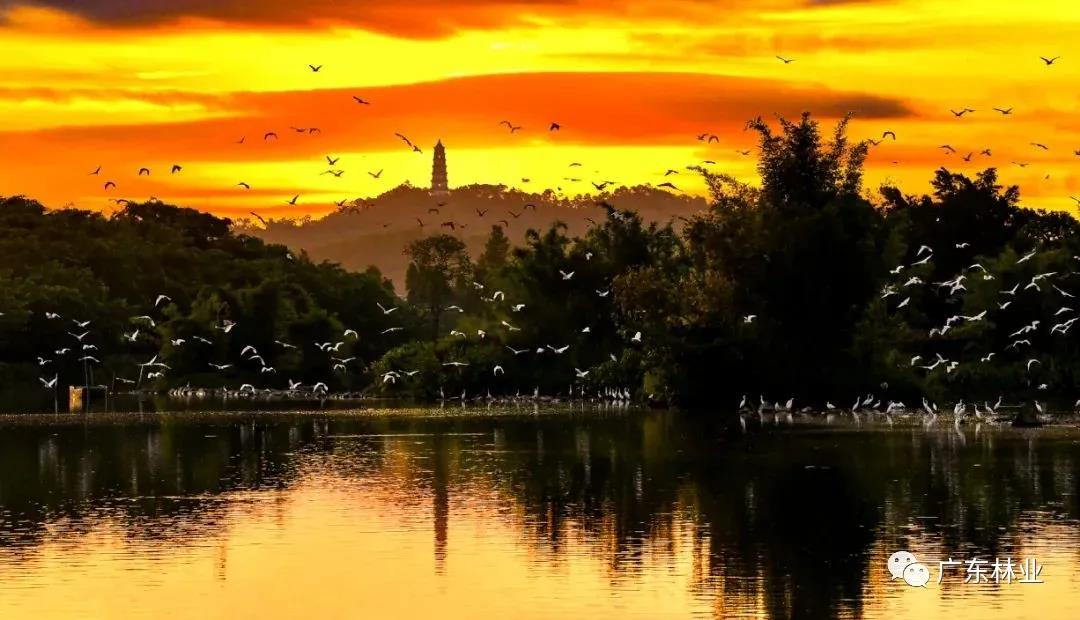 3c222fe960201da2aa7538f7d07ddfa1.jpg 003.jpg